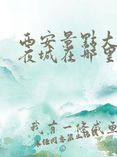 西安景点大唐不夜城在哪里