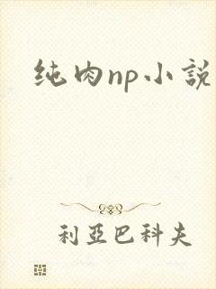 纯肉np小说h