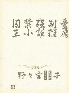 囚禁强制爱双男主小说推荐 囚禁强制爱双男主小说推荐