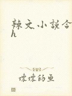辣文小说合集高h