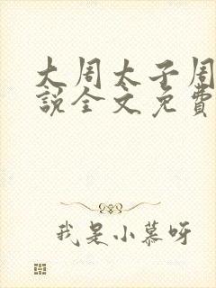 大周太子周铮小说全文免费