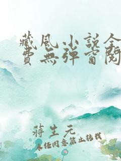 藏风小说全文免费无弹窗阅读笔趣阁