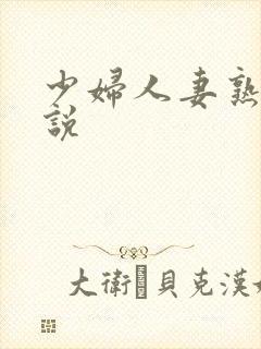 少妇人妻熟女小说