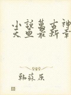 小说万古神帝飞天鱼最新章节列