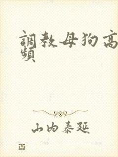 调教母狗高潮视频