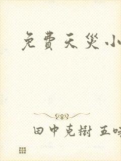 免费天灾小说