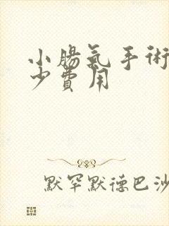 小肠气手术需多少费用