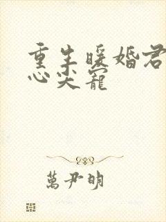 重生暖婚君少的心尖宠