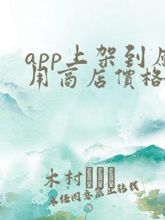 app上架到应用商店价格