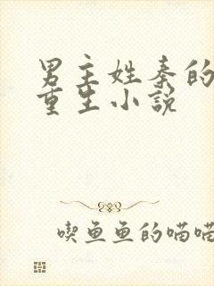 男主姓秦的古代重生小说