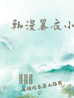 韩漫暴夜小说