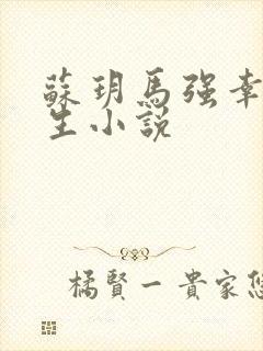苏玥马强幸福人生小说