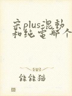 宋plus混动和纯电哪个好