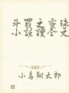 斗罗之灵珠神剑小说读全文阅读