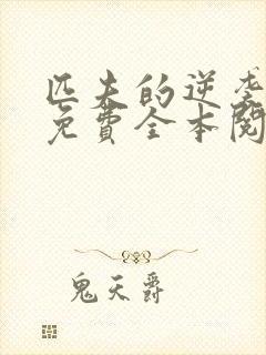 匹夫的逆袭小说免费全本阅读