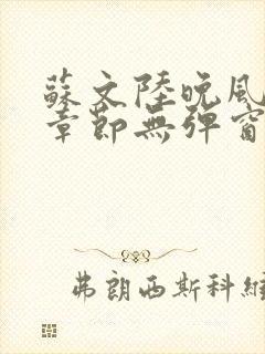 苏文陆晚风最新章节无弹窗笔趣阁