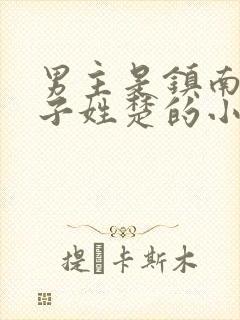 男主是镇南王世子姓楚的小说 男主是镇南王世子姓楚的小说