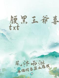 腹黑王爷喜当爹txt 腹黑王爷喜当爹txt