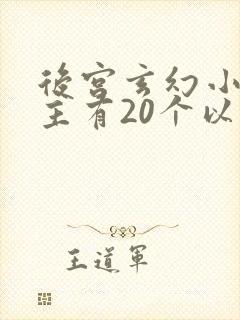 后宫玄幻小说女主有20个以上