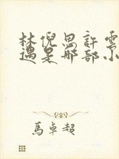 林倪思许云峥祁遇是哪部小说
