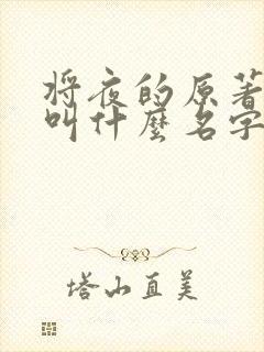 将夜的原著小说叫什么名字