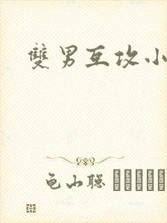 双男互攻小说