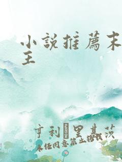 小说推荐末世女主 小说推荐末世女主