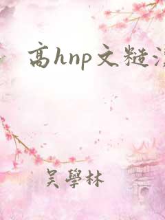 高hnp文糙汉