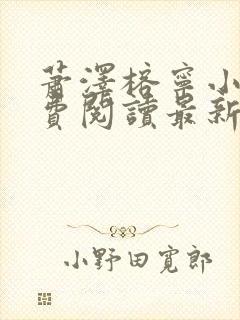 萧泽榕宁小说免费阅读最新章节更新时间