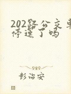 202路公交车停运了吗