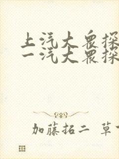 上汽大众探岳和一汽大众探岳