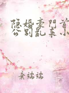 隐婚豪门首席老公别乱来小说