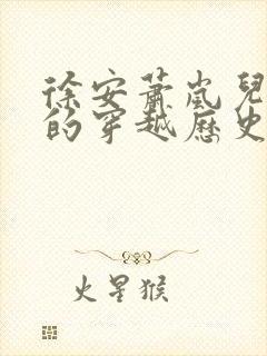 徐安萧岚儿主角的穿越历史小说免费阅读全文