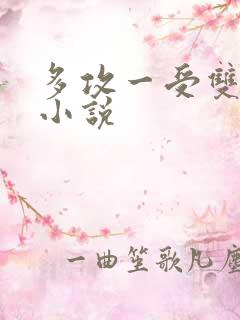 多攻一受双男主小说