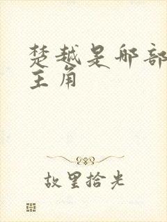 楚越是哪部小说主角