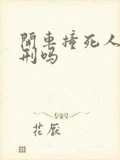 开车撞死人会判刑吗
