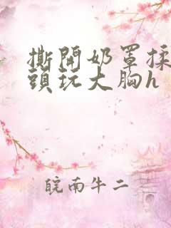 撕开奶罩揉吮奶头玩大胸h