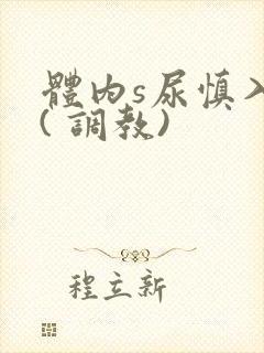 体内s尿慎入h( 调教)