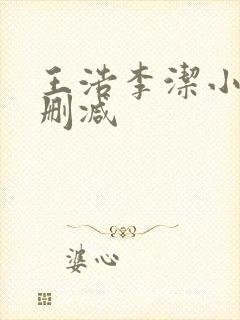 王浩李洁小说无删减