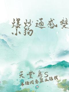 爆炒通感双胞胎小狗 爆炒通感双胞胎小狗