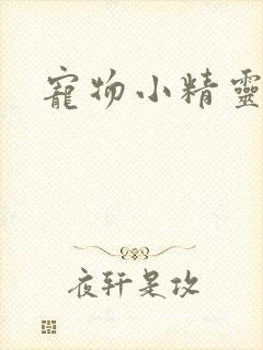 宠物小精灵漫画