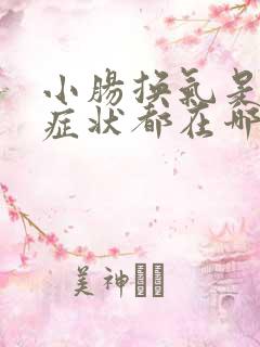 小肠换气是什么症状都在哪个部位