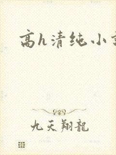 高h清纯小说
