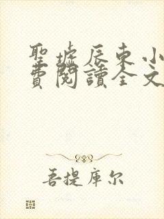 圣墟辰东小说免费阅读全文无窗口
