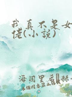 我真不是女装大佬(小说)