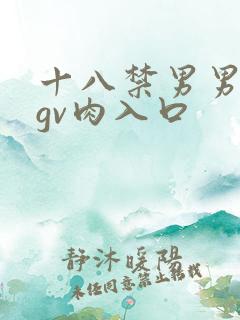十八禁男男腐啪gv肉入口
