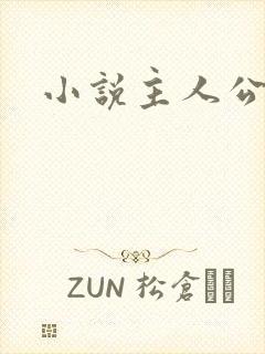小说主人公苏辰 小说主人公苏辰