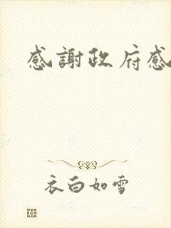 感谢政府感谢信