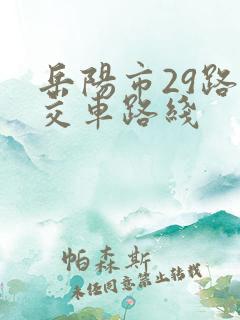岳阳市29路公交车路线