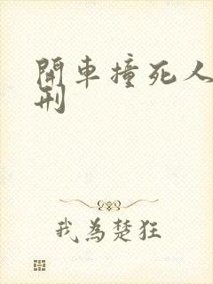 开车撞死人判死刑